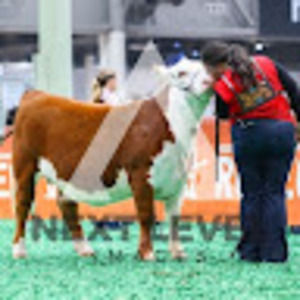 Meet your Posher, Caitlyn